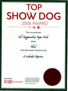 Top Show Award 2006 3ième meilleur Labrador au Canada